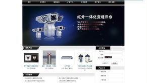 电子科技公司网站建设 从开发到运维的全方位技术服务指南